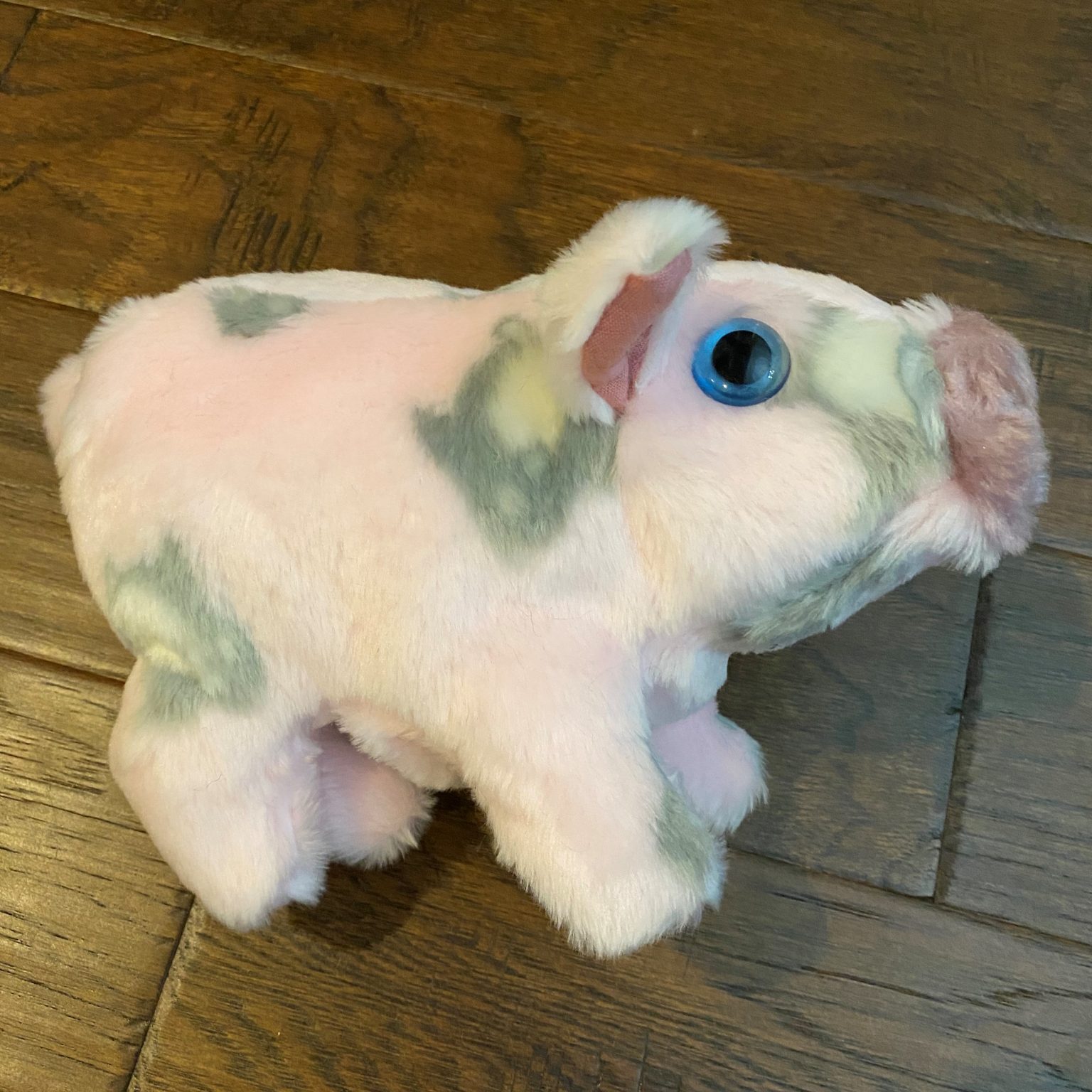 Pig Bean Bag Lucy's Toys